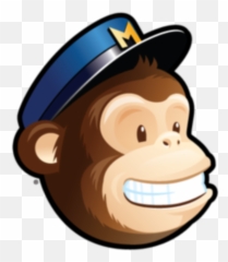 How To Manage Mailchimp Newsletters - Logo Mailchimp Png Emoji,Mail Chimp Emojis