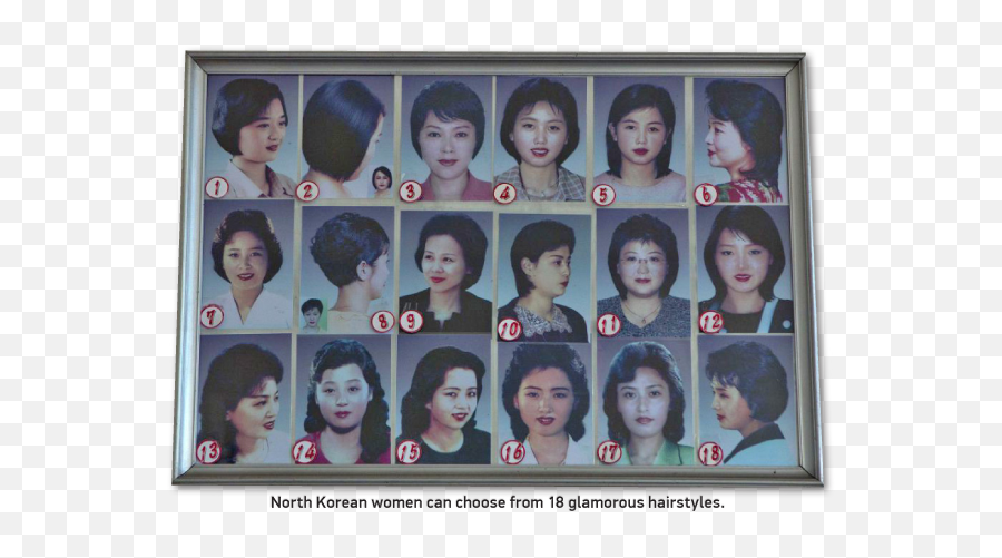 North Korean Women Haircuts - North Korea Hairstyles Emoji,100 Emoji Haircut