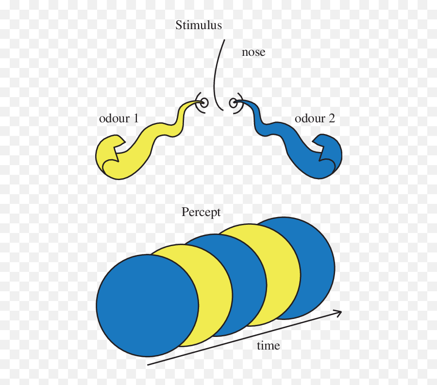 Illustration Of Binaral Rivalry - Olfactory Illusion Emoji,Dynamic Emotion Transitions Based On Emotion Hysteresis (2017)