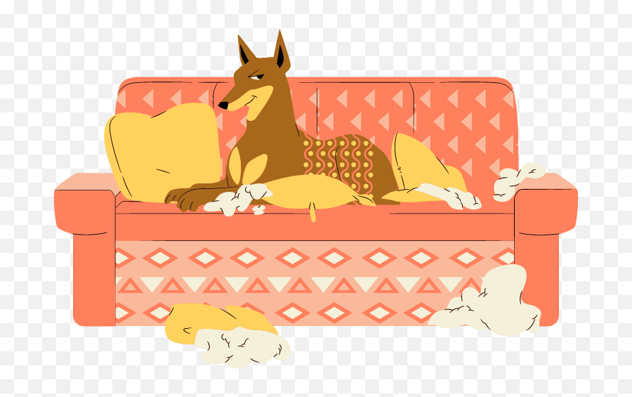 Kong Dog Bed Review Are Kong Beds Really Indestructible Emoji,Emotion Pets Toys R Us