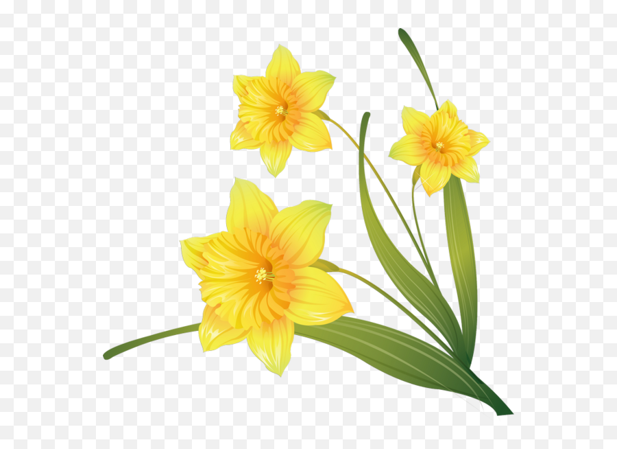Watercolor Painting Daffodil Drawing Plant Flower For Easter Emoji,Daffodil Emoticon Facebook