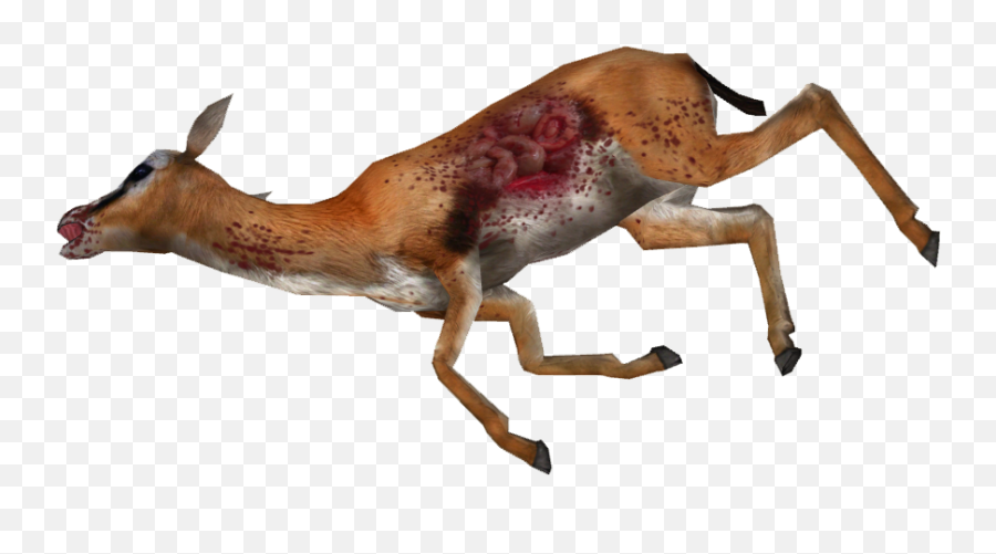 Animal Carcasses - Dead Gazelle Png Emoji,Dead Deer Emoji