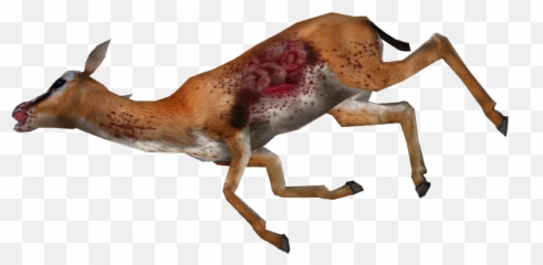 Animal Carcasses - Dead Gazelle Png Emoji,Dead Deer Emoji