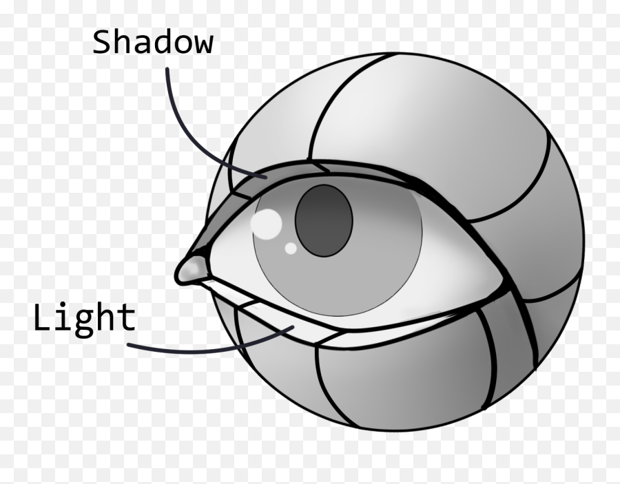 A Helpful Guide To Eyes By Herodraws - Clip Studio Tips Planes Of The Eye Emoji,Emotions Drawing Reference