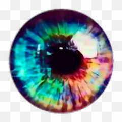 Melissa Mapache Waifu De Cohen - Transparent Rainbow Eye Emoji,Arco Íris De Emojis