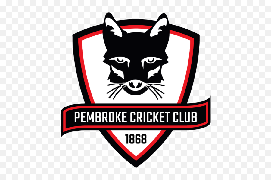 Club Uniforms Cricket Clothing Ed Sports Dublin - Pembroke Cricket Club Emoji,Emojis Brabos