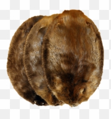 Glacier Wear - Soft Emoji,Hairless Beaver Emoticon