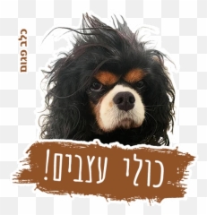 Límmiðar Fyrir Whatsapp Emoji,Cavalier King Charles Spaniel Sticker Emoji