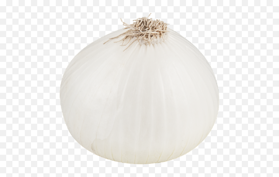 Super Meme Bros - White Onion Clipart Png Emoji,Dancing Garlic Emojis