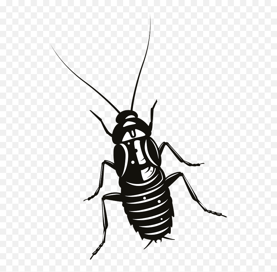 Cockroach Images Free Download - Always Celebrate Style Tribal Cockroach Emoji,Facebook Cockroach Emoticon