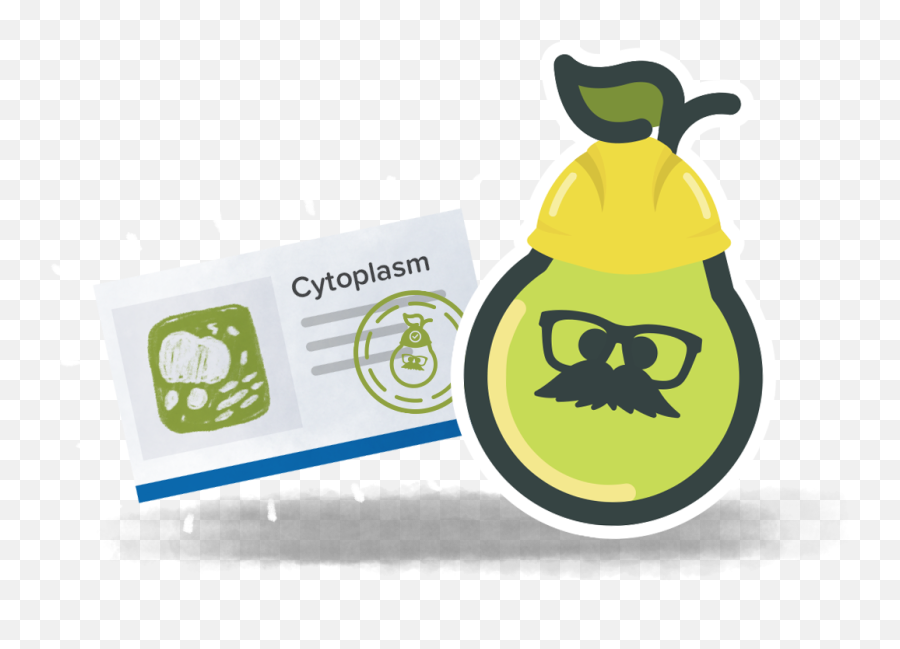 Flashcard Factory U2014 Pear Deck Emoji,Peer Editing Worksheet With Emojis