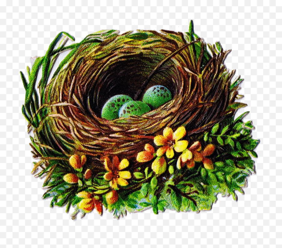 Green Spotted Eggs In Bird Nest Vintage Painting Free Image Emoji,Emotions Eggs
