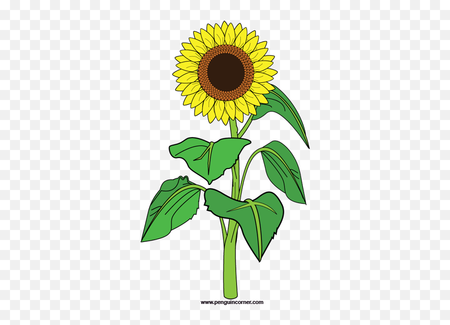 Sunflower Clip Art Free Clipart Images 2 Clipartbold - Clipartix Flower Plant Clipart Png Emoji,Sun Flower Emoji