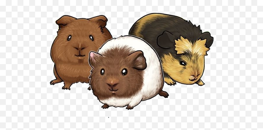 Popular And Trending Guineapig Stickers On Picsart Emoji,Guinea Pig Emojis