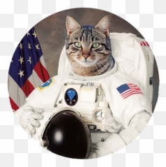 Cat Space Coffee Mug For Sale By Cholil Iruka Emoji,Cat With Coffee Emoticon