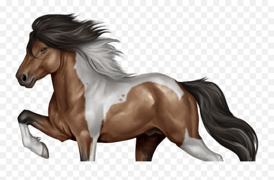 Home - Horse Reality Horse Reality Pferde Emoji,Donkey Emoji Android