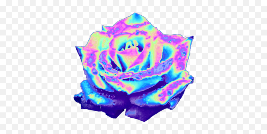 Rainbow Rose Garden Roses Blue Rose - Holographic Tumblr Stickers Png Emoji,Blue Rose Emoji