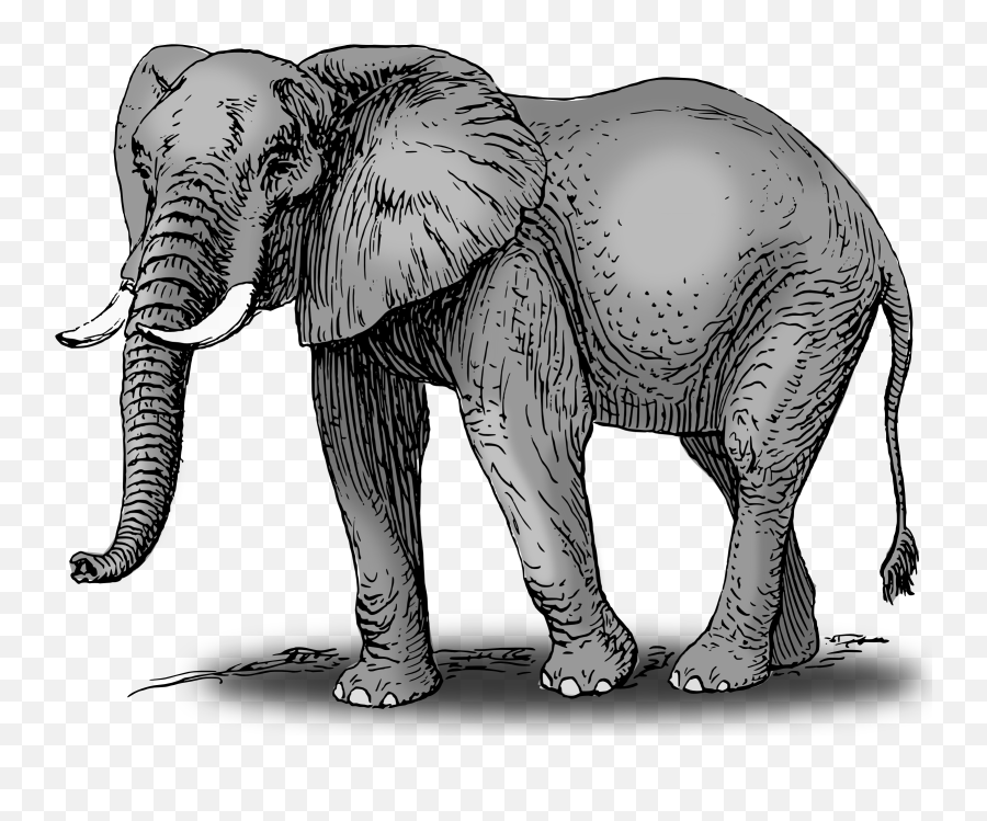 Elephant Clip Art Image 3 - Clipartix African Elephant Clip Art Emoji,Elephant Emoji Png