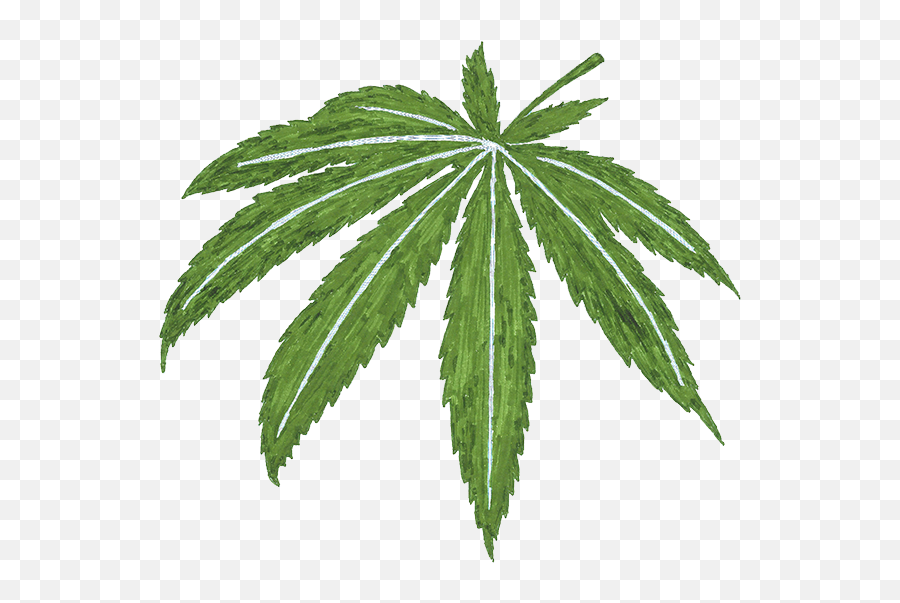 Cannabis Memorial Sloan Kettering Cancer Center - Language Emoji,Mar Co 32 Emotion