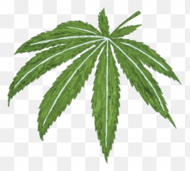Cannabis Memorial Sloan Kettering Cancer Center - Language Emoji,Mar Co 32 Emotion