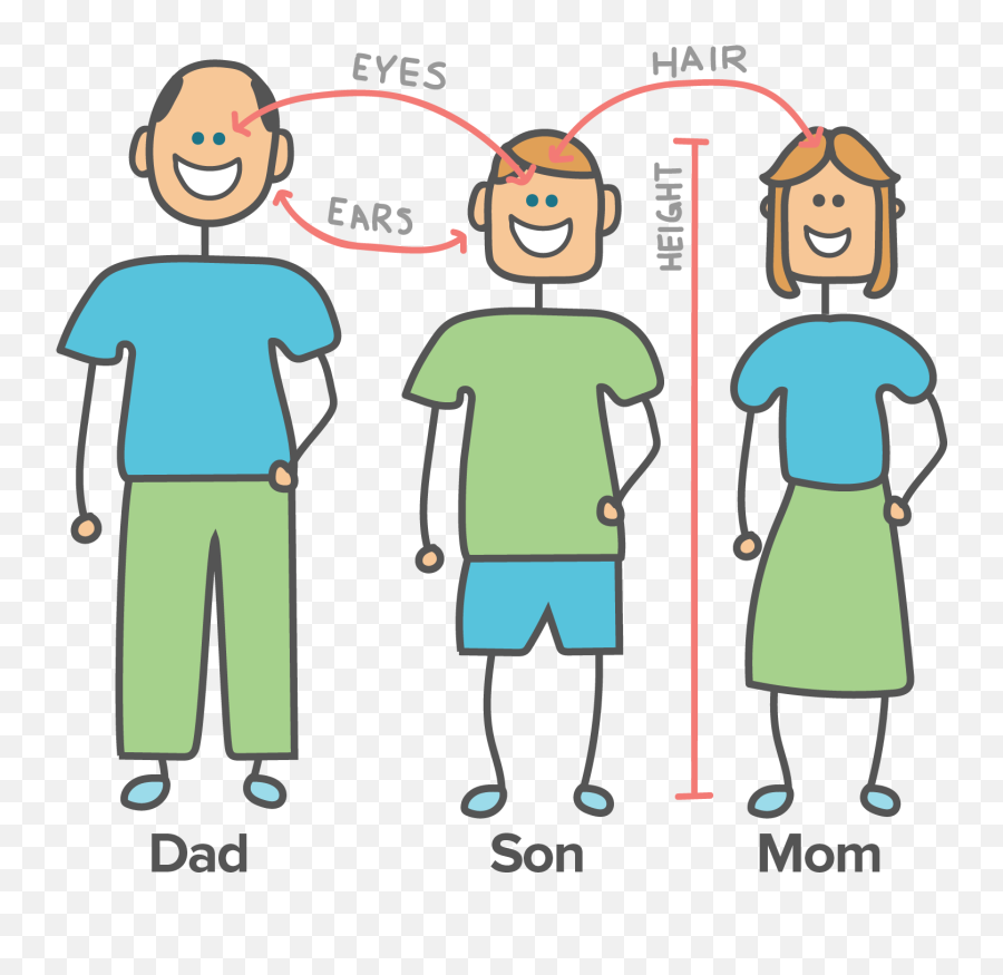 genes-environment-and-behavior-article-khan-academy-physical-traits