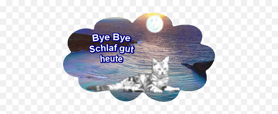 Pin Van Reiner Geiß Op Gute Nacht Grüße S - Cat Emoji,Reiner Emoticon