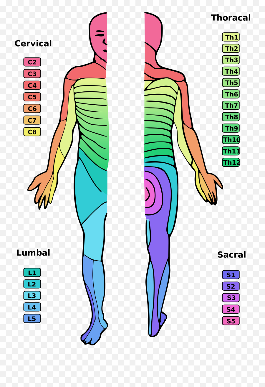 Common Bulging Disc Symptoms In Your Lower Back Emoji,What Emotion Is Connected To Lower Back Pain