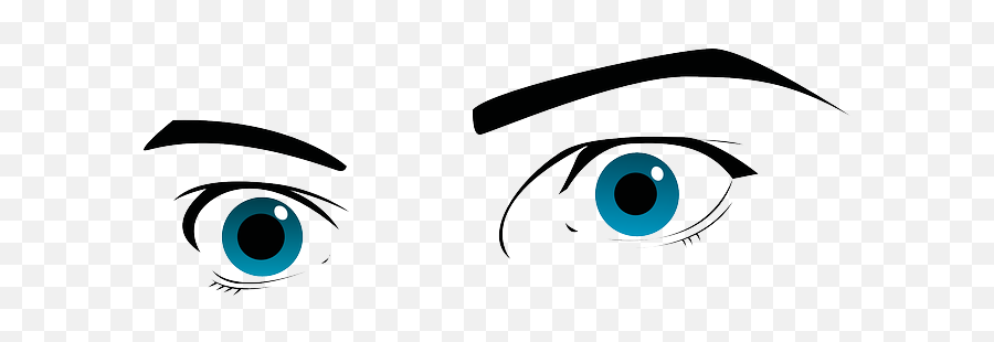 Free Photo Seeing Brows Eyes Observing Eyebrows Blue Eyes - Dibujo Ojos De Hombre Emoji,Eyebrow Emotions