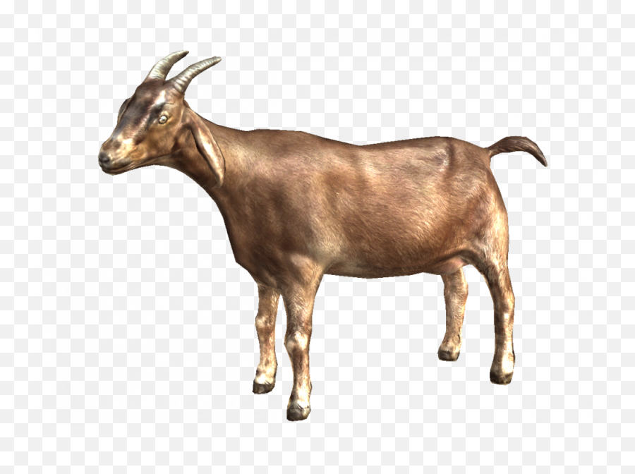 Goat Png Hd Background - Transparent Background Goat Clipart Emoji,The G.o.a.t Emoji