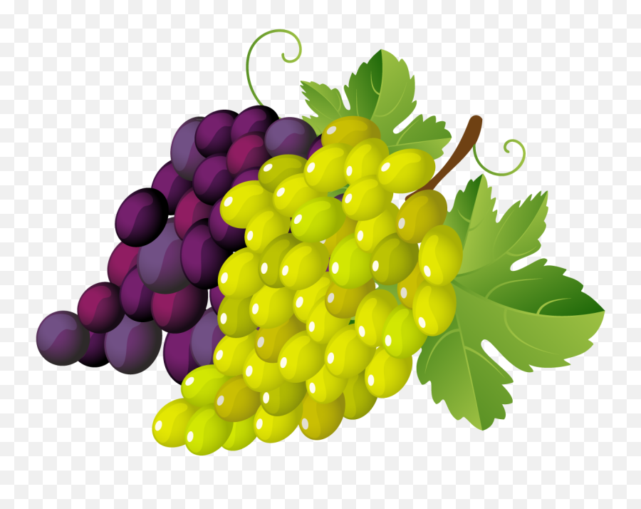 Free Grapes Images Download Free Grapes Images Png Images - Grapes Clipart Emoji,Grapes Emoji Iphone 5