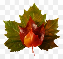 Fall Leaves Emoji Copy And Paste,Falling Leaves Emoticon