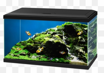 Aqua 60 Led Fiskabúr - Aqua 60 Led Ciano Emoji,Fiskar Emotion