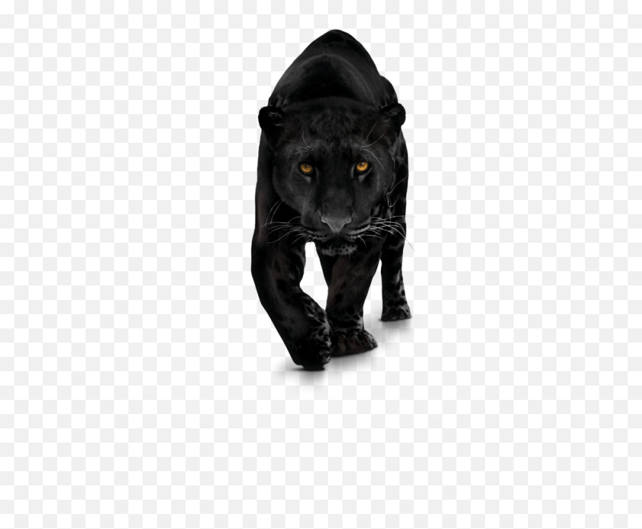 Black Panther Computer Icons Clip Art - Transparent Background Panther Png Emoji,Black Panther Twitter Emoji