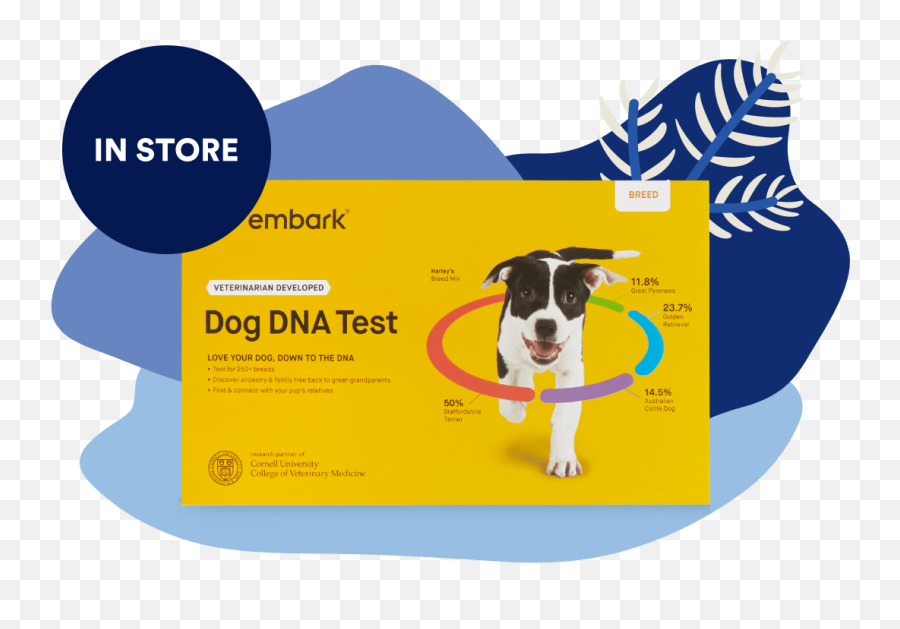 Exclusive Holiday In - Embark Dna Emoji,Dog Emotion 50% Up