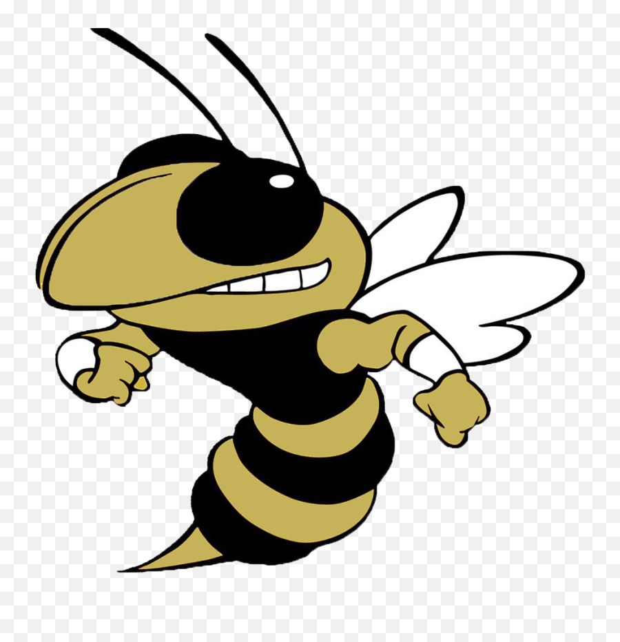 Tl Hanna - Team Home Tl Hanna Yellowjackets Sports Georgia Tech Yellow Jackets Emoji,Hanna Andersson Emojis