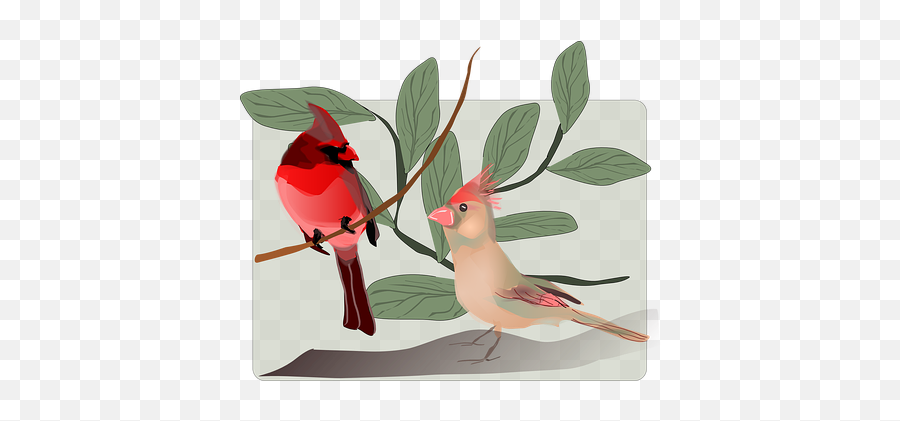 300 Free Singing U0026 Sing Illustrations - Pixabay Happy Anniversary To Couple I Admire Emoji,Cardinal Emoji