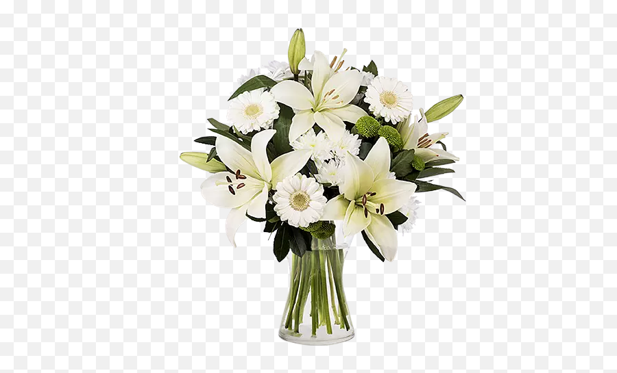 Familial Love White Lilies And Gerberas - Gerberas Blancas Y Los Lirios Emoji,The Emotion Love