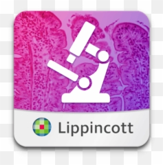 Download Big Emoji Large Emojis For All Chat Messengers - Petrographic Microscope,Exclusive Snapchat Emoticons