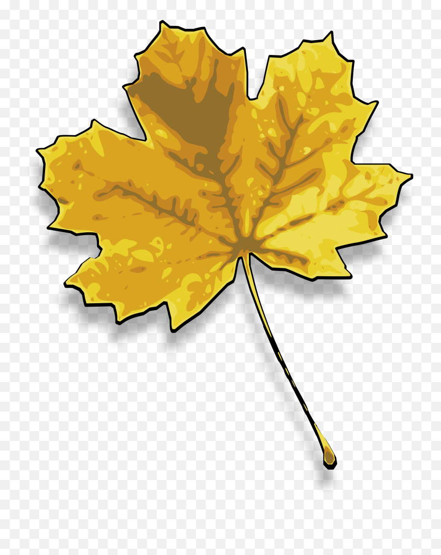 Clipart Leaves Big Leaf Clipart Leaves Big Leaf Transparent - Chanar Leave Emoji,Maple Leaf Emoji Png