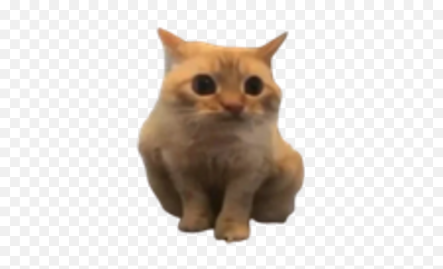 Bokanoba - Soft Emoji,Brown Cat Emoji Discord