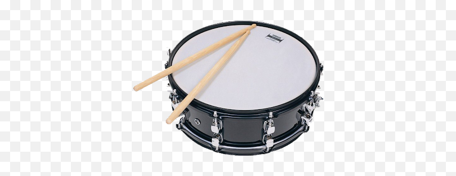 Your Baby Can Learn 3 - Snare Drum Png Emoji,How To Make Drum Emojis