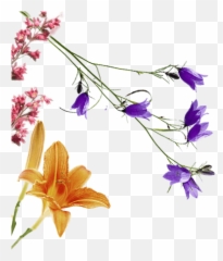 Stop - Lily Emoji,My Love Freezer Lilium Lost Emotions