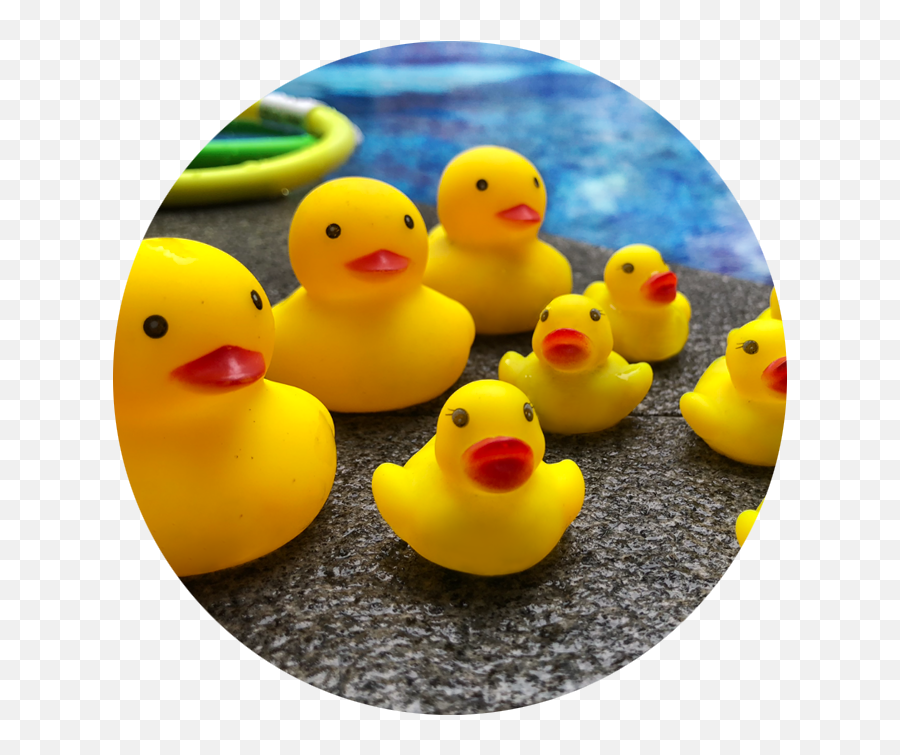Swim Confidence - Have A Look At Our Toddler Classes Sign Soft Emoji,Swimming Emojis Transparent