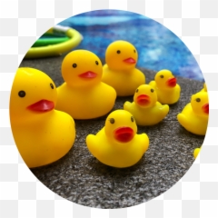 Swim Confidence - Have A Look At Our Toddler Classes Sign Soft Emoji,Swimming Emojis Transparent