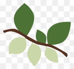 Our Natural Formulas - Id Swiss Botanicals Twig Emoji,Aha Emoji Images