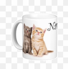 Kids Plastic Mugs - Mugs Shop Predesigned Emoji,Tabby Emojis Transparent