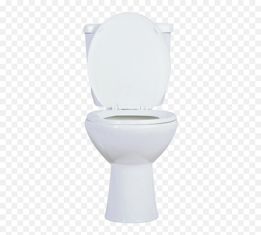 What You Can And Canu0027t Be Snobby About U2013 The Sun Emoji,Flushedtoilet Emoji
