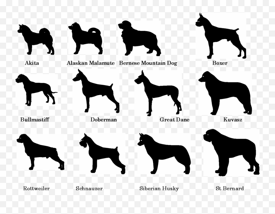 Poodle Dog Breed Royalty - Free Doberman Png Download 1280 All Dog Breeds Names Emoji,Bernese Mountain Dog Emoji