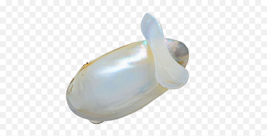 Sea Shell Handcrafted Bowl Spoon Set - Plastic Emoji,Conch Shell Emoji