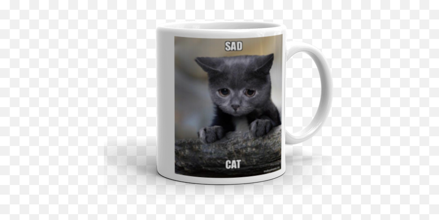 Sad Cat Meme Transparent Itu0027s Meme Cats - Have Something To Confess Meme Emoji,Sad Cat Emoji